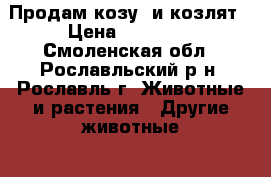 Продам козу  и козлят › Цена ­ 12 000 - Смоленская обл., Рославльский р-н, Рославль г. Животные и растения » Другие животные   